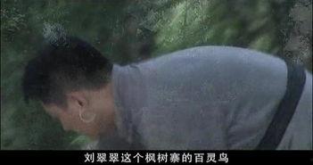 边城汉子床戏视频,揭秘民间风情与人性魅力