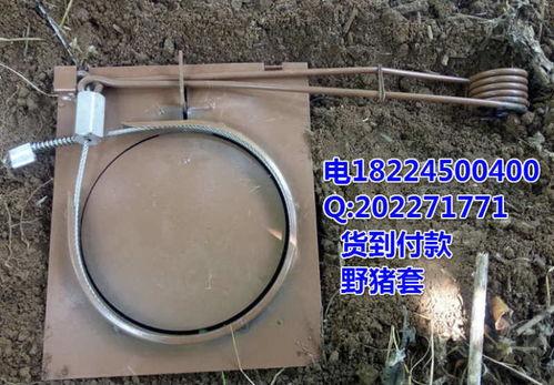 接钢丝绳视频教程,实操步骤与技巧解析