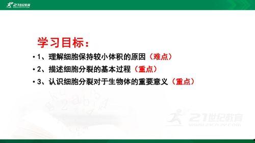 细胞的增殖视频,视频揭示生命成长的秘密