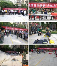 田东道公视频,探寻民间信仰与民俗文化的传承之光