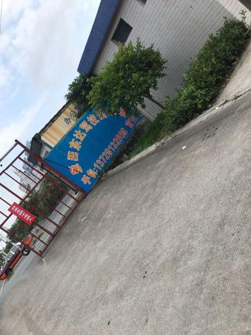 田东道公视频,探寻民间信仰与民俗文化的传承之光