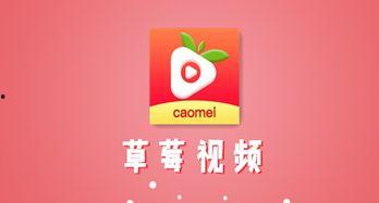 草莓在线视频,探寻甜蜜果实背后的故事与魅力