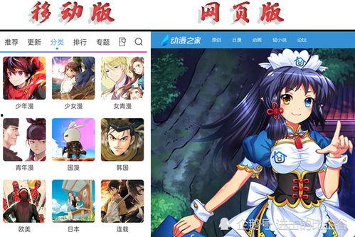 在线观看成年动漫视频,在线观看体验全解析